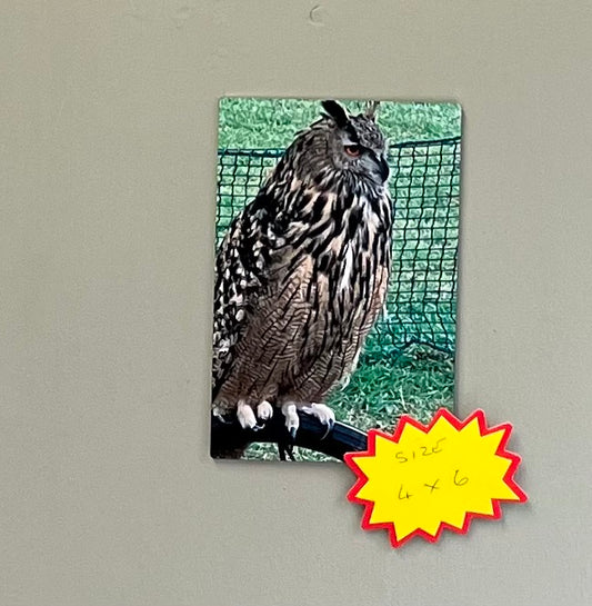 Square Ultra HD Gloss finish metal photo 1.15mm thick